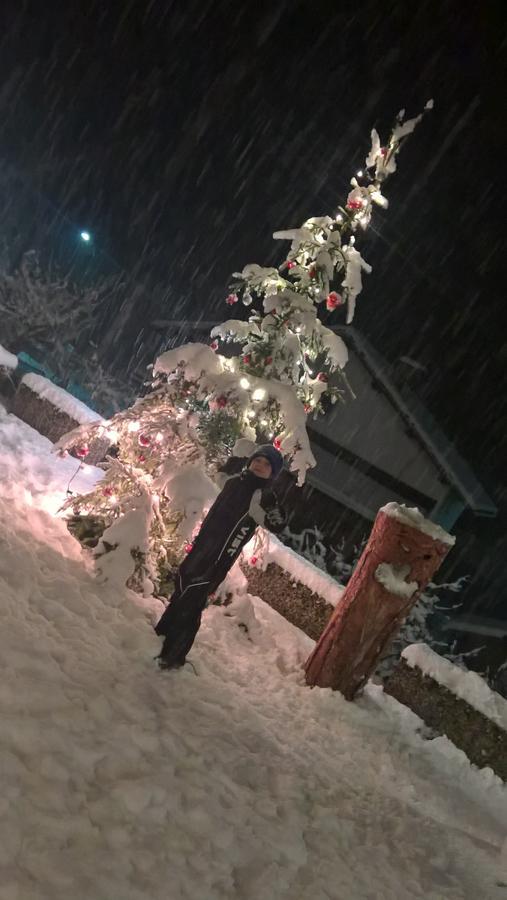 Hotel Serenella カナール・サン・ボーヴォ エクステリア 写真